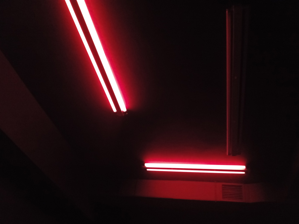 rojo